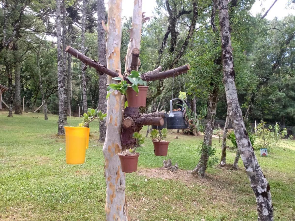 Cabana Romance - Recanto Da Natureza Canela Ngoại thất bức ảnh
